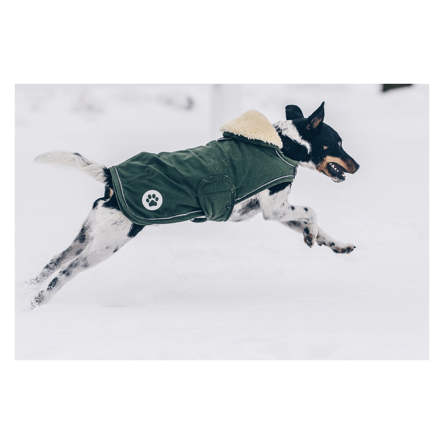 KENTUCKY DOGWEAR Hundemantel Wasserdicht – Ansicht 3