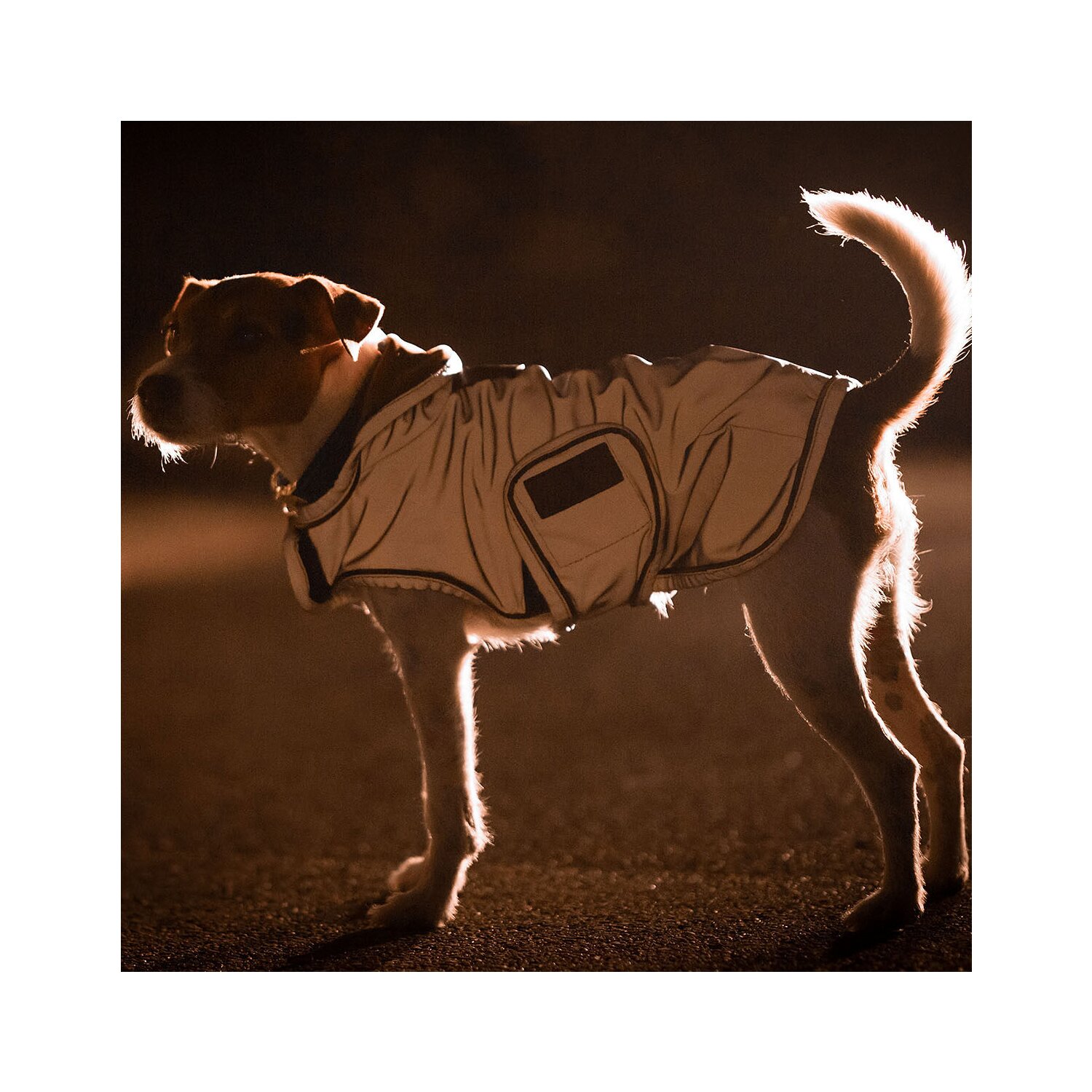 KENTUCKY DOGWEAR Hundemantel reflektierend und wasserabweisend – Ansicht 3