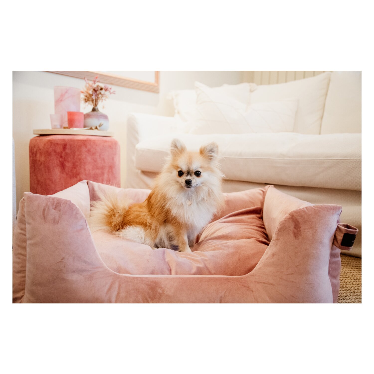 KENTUCKY DOGWEAR Hundebett Velvet – Ansicht 4