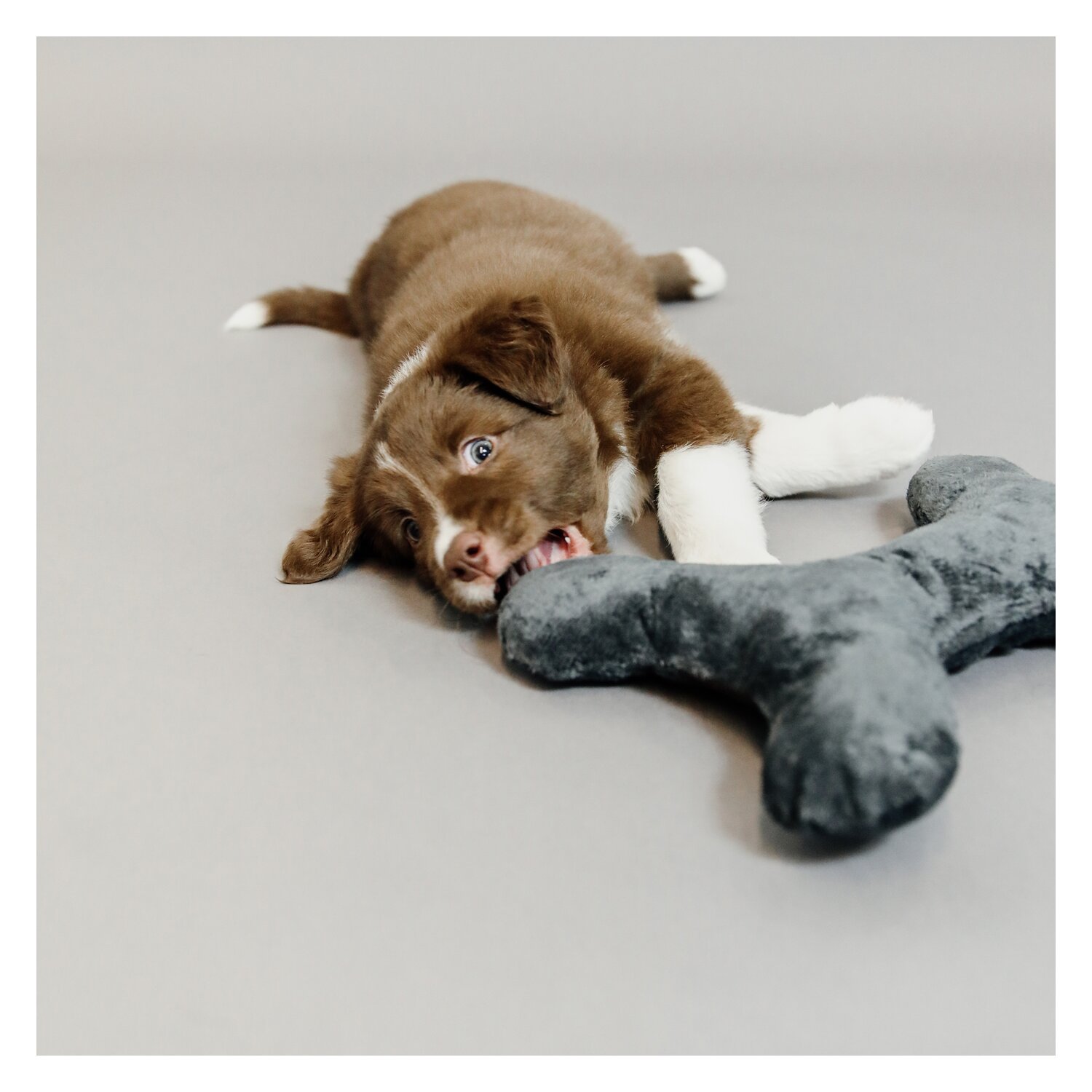 KENTUCKY DOGWEAR Hundespielzeug Bone – Ansicht 2