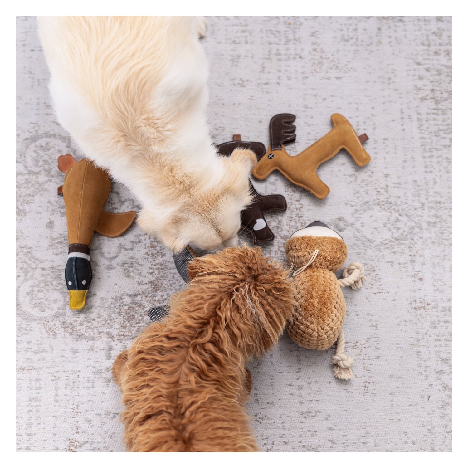 pawberry Lederspielzeug Baku – Ansicht 2