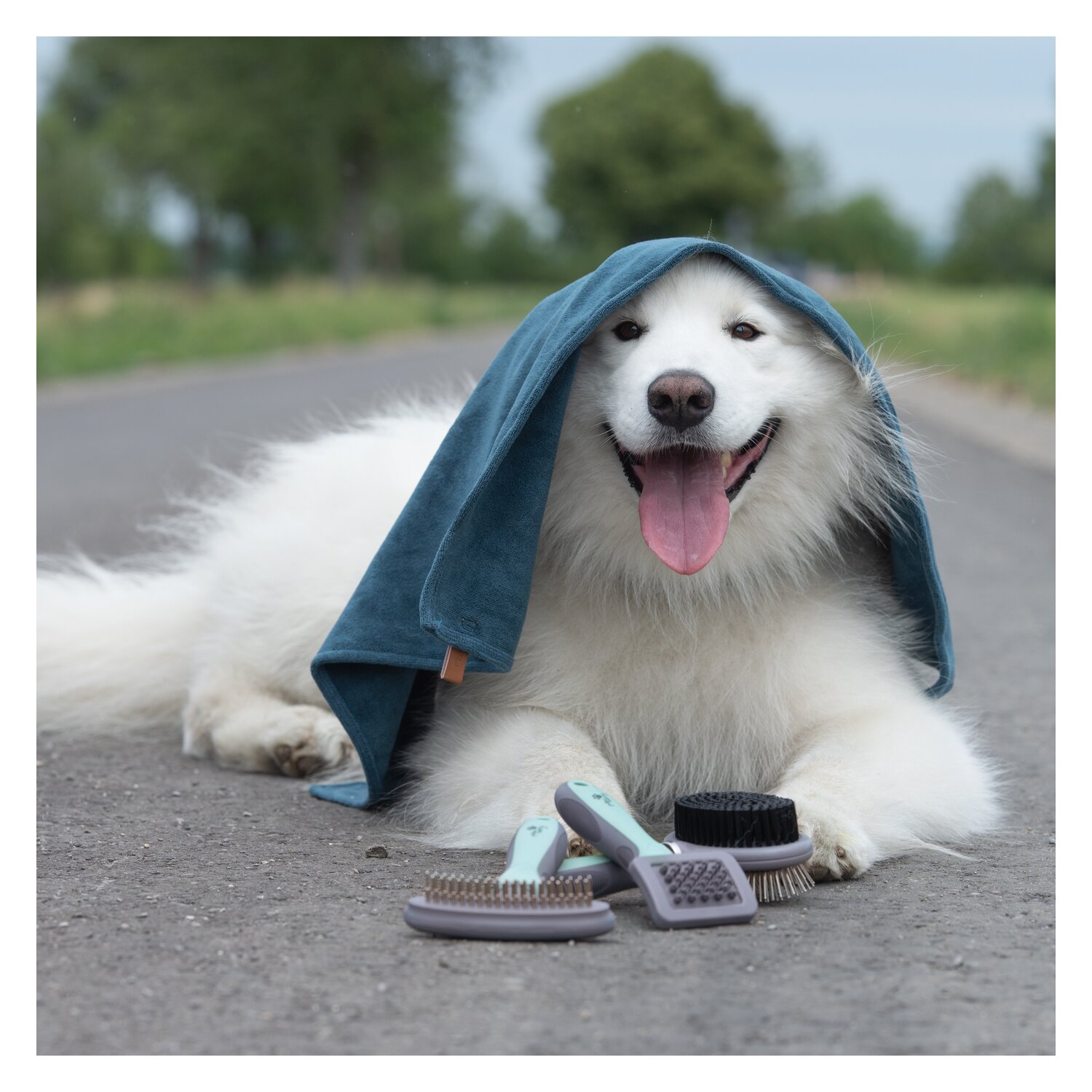 pawberry Gummibürste – Ansicht 3