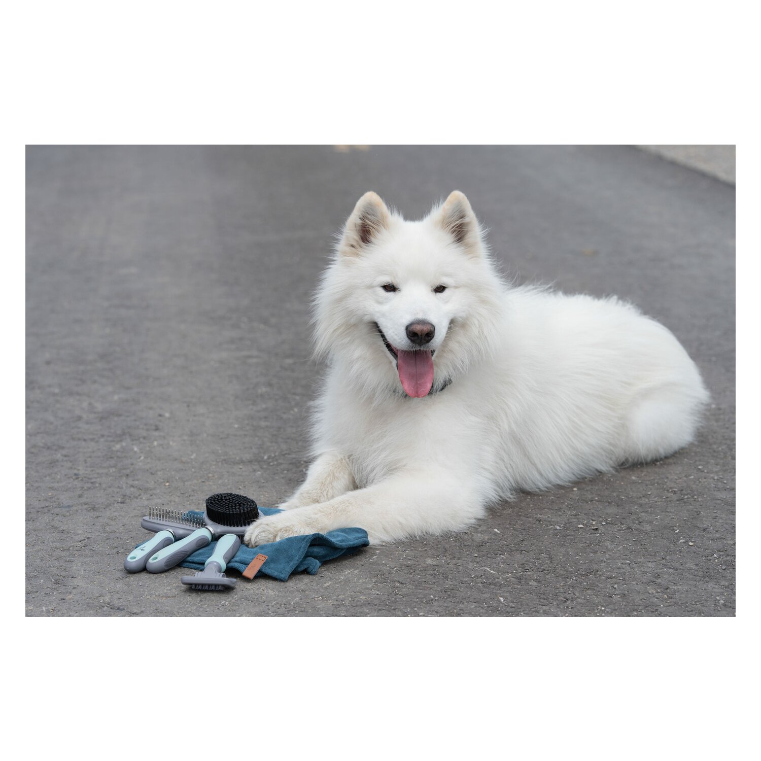 pawberry Doppelbürste – Ansicht 3