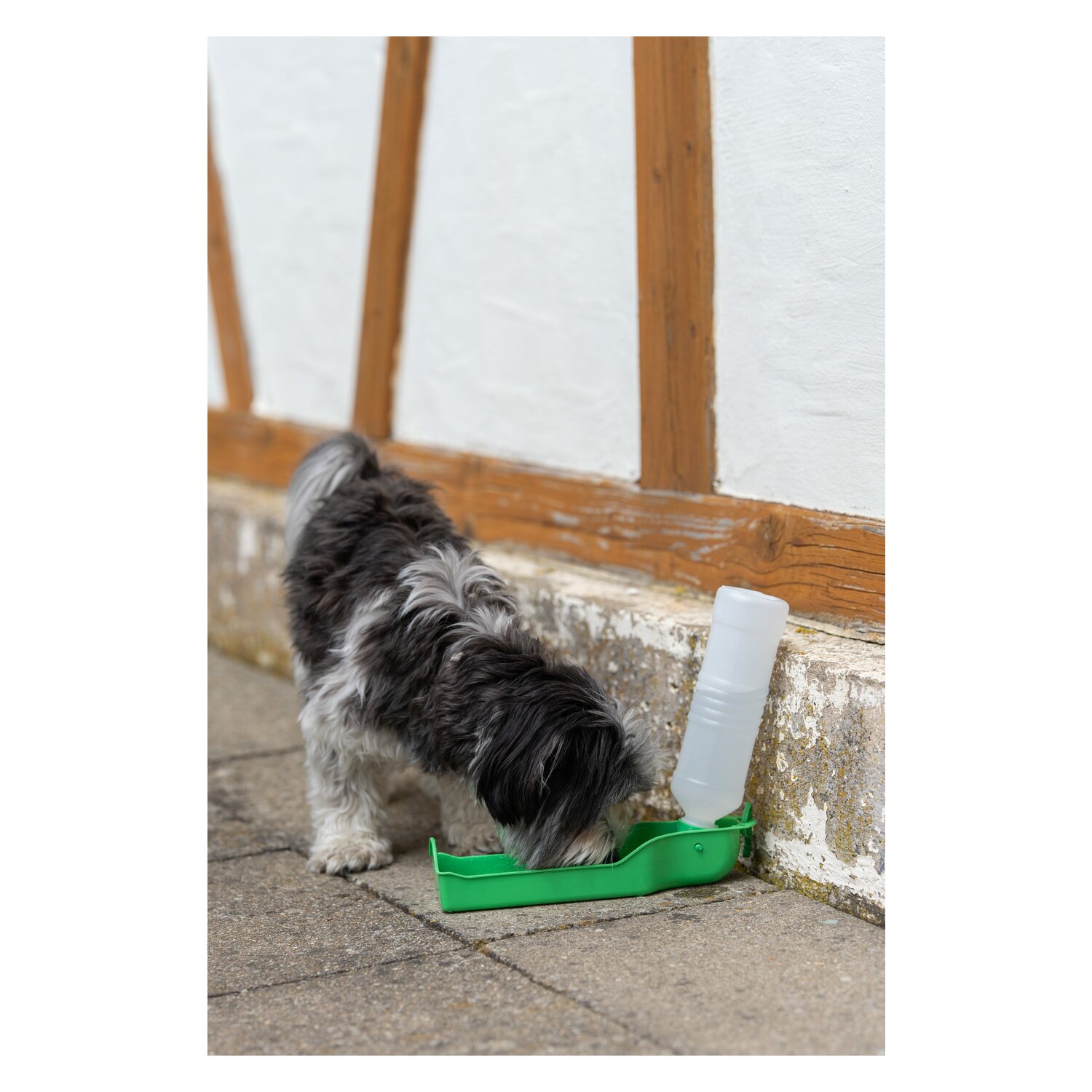 pawberry Reisetrinkflasche – Ansicht 4