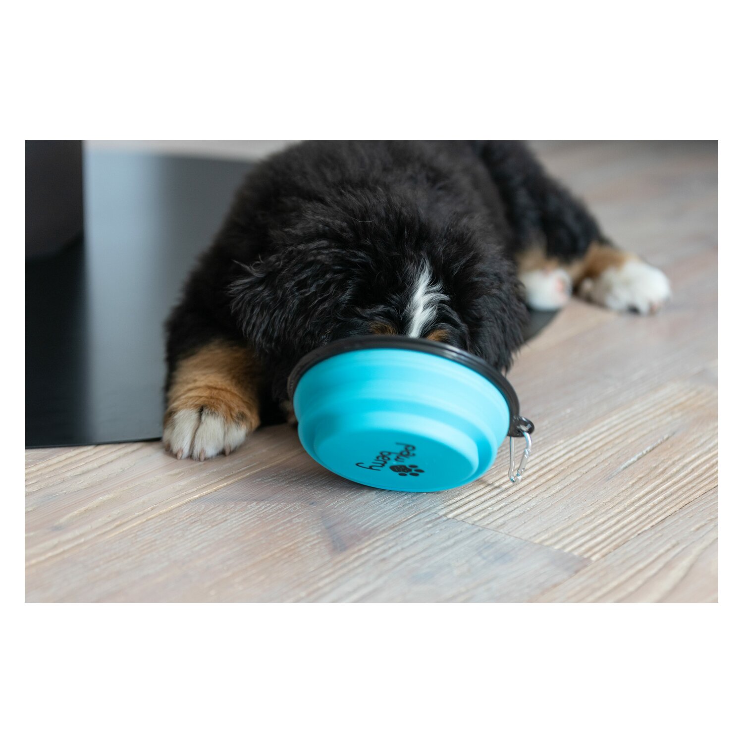 pawberry Hundenapf faltbar – Ansicht 4