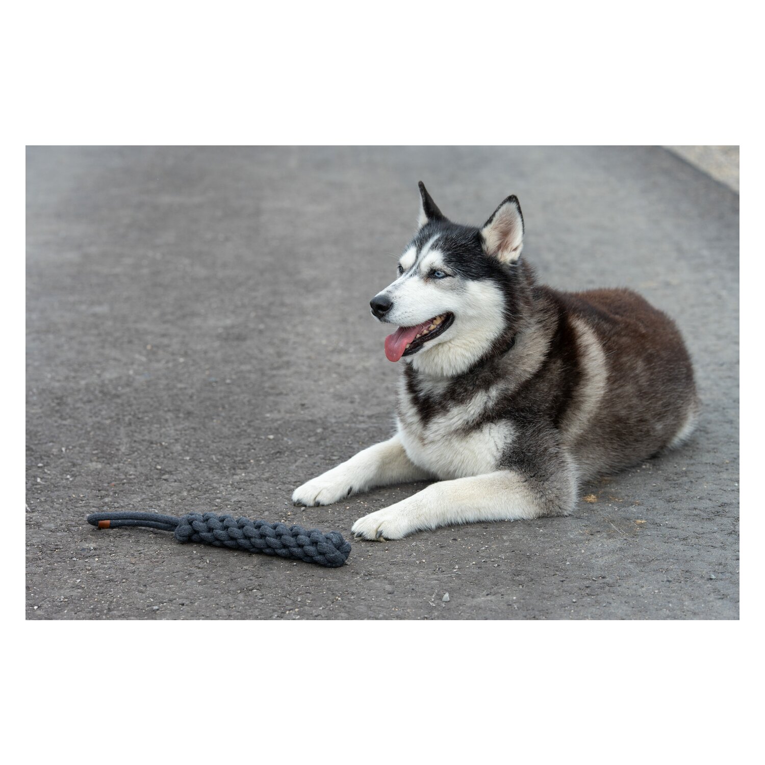 pawberry Baumwoll-Dummy geflochten &ndash; Ansicht 3