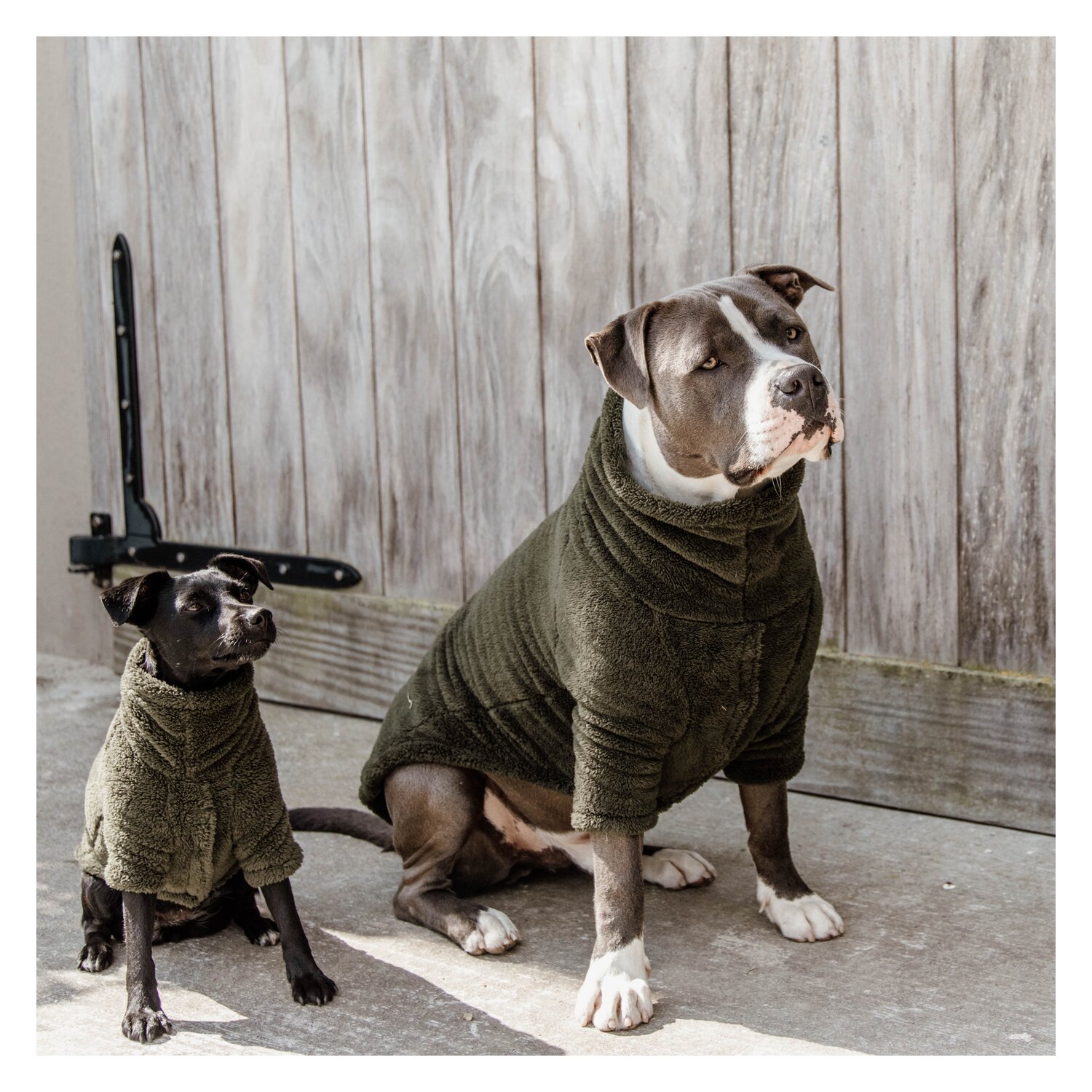KENTUCKY DOGWEAR Hundepullover Teddy Fleece – Ansicht 2