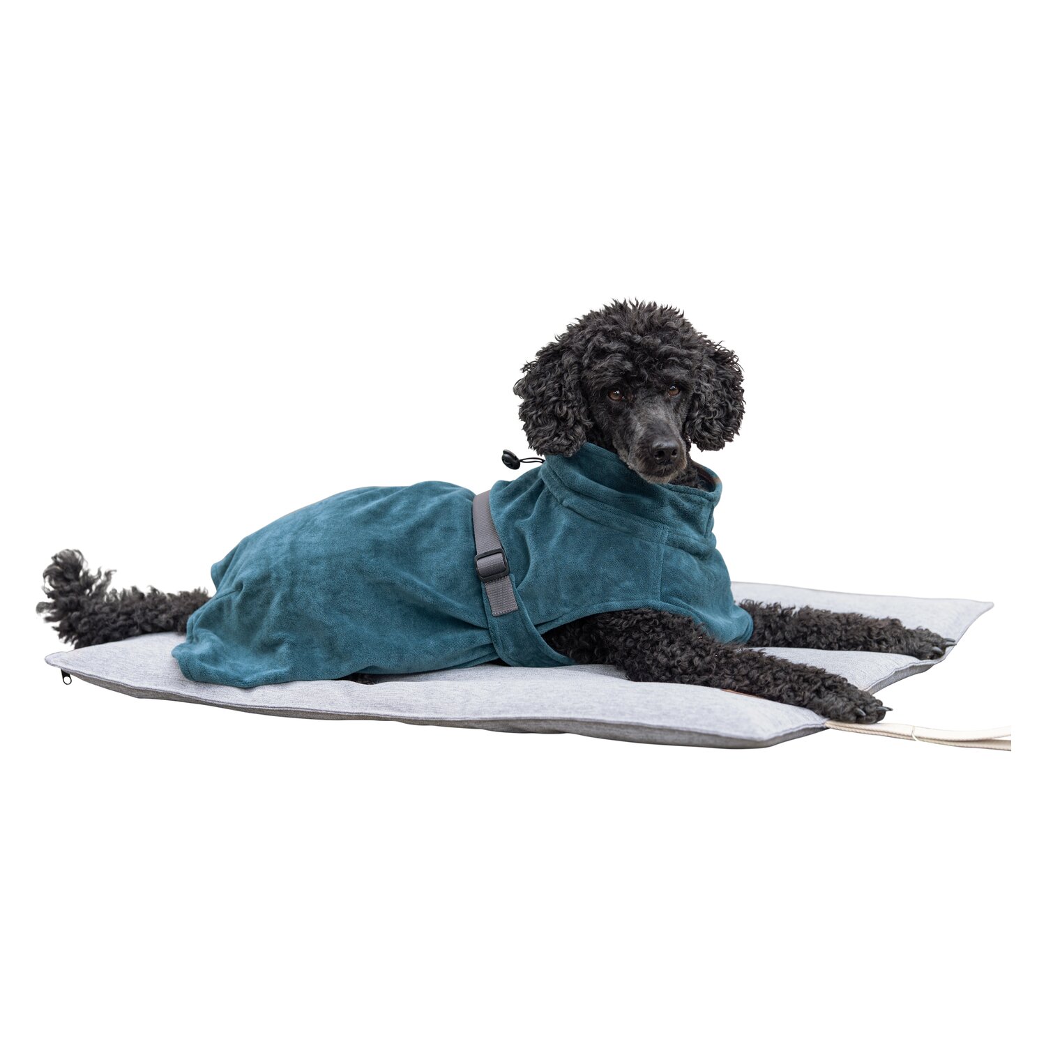 pawberry Hundereisebett Zibo – Ansicht 6