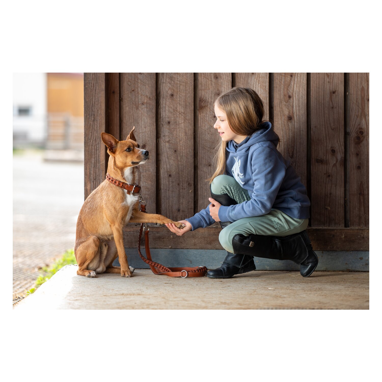 pawberry Hundehalsband Praha – Ansicht 3