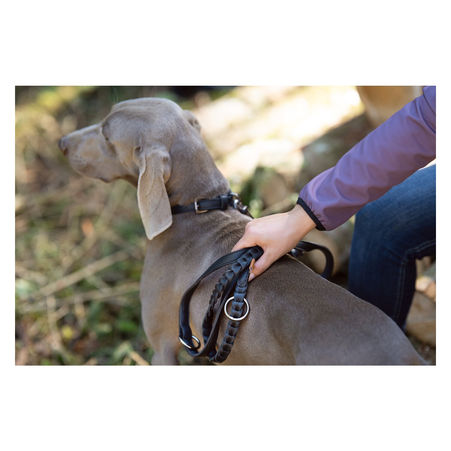 pawberry Hundeleine Praha – Ansicht 7