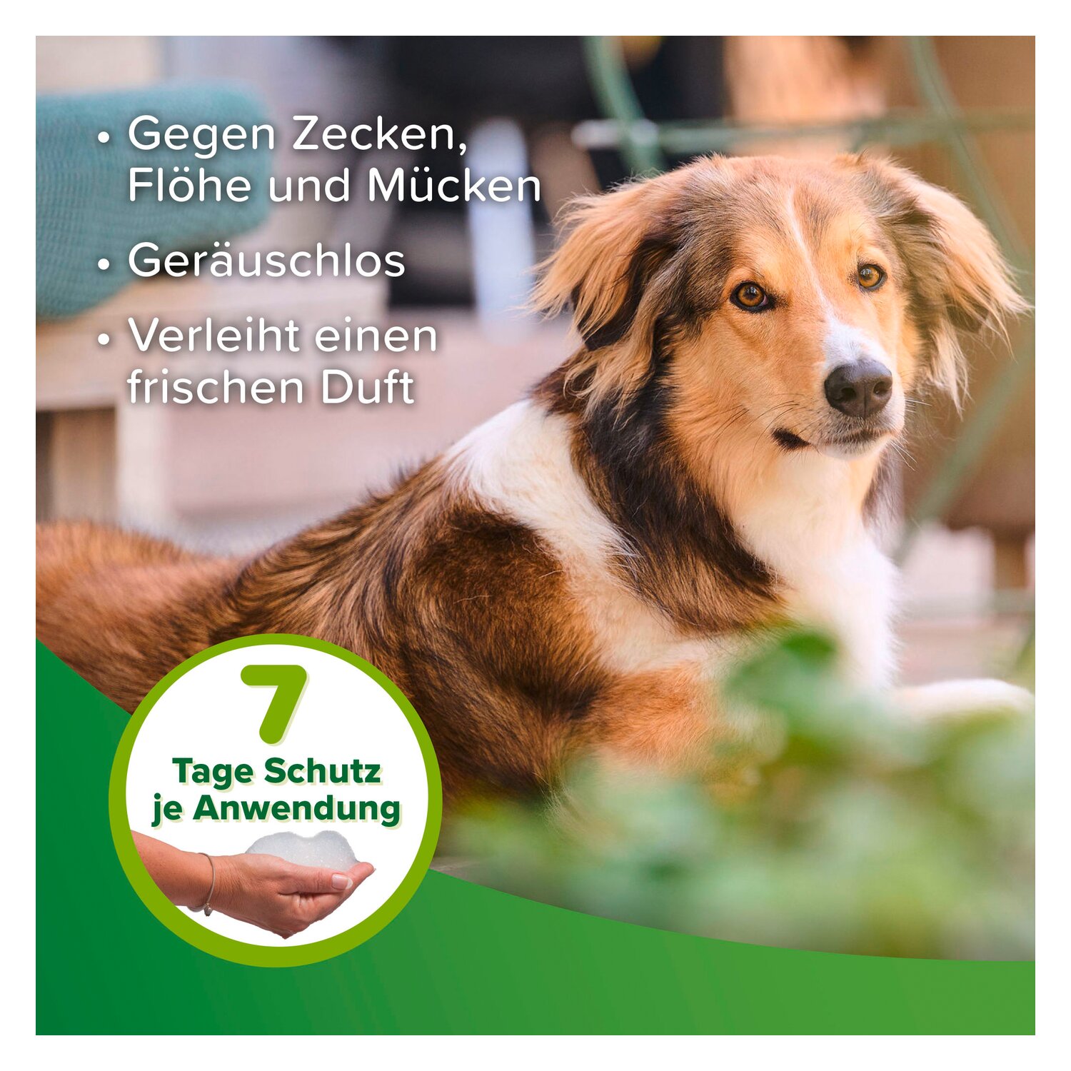 beaphar Zecken- und Flohschutz Shampoo – Ansicht 3