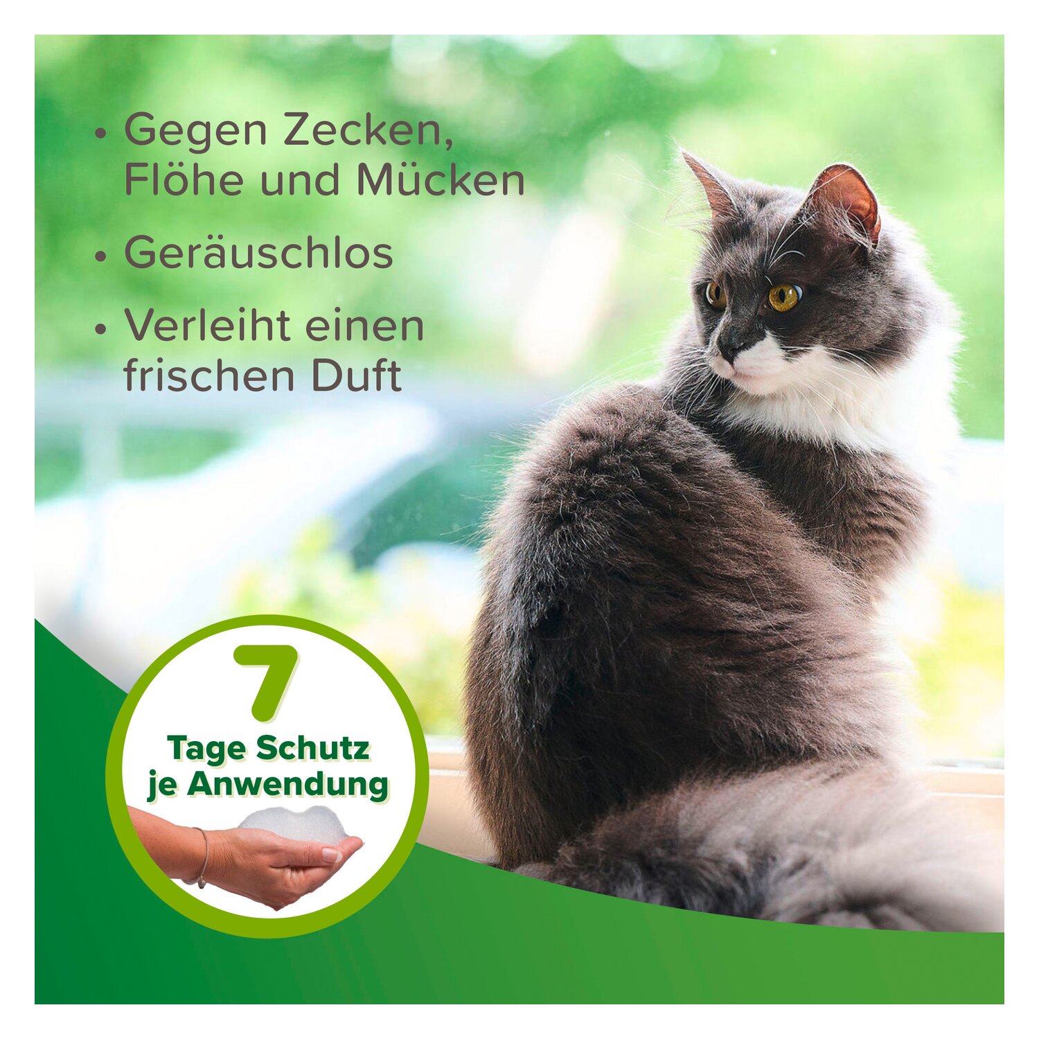 beaphar Zecken- und Flohschutz Shampoo – Ansicht 4