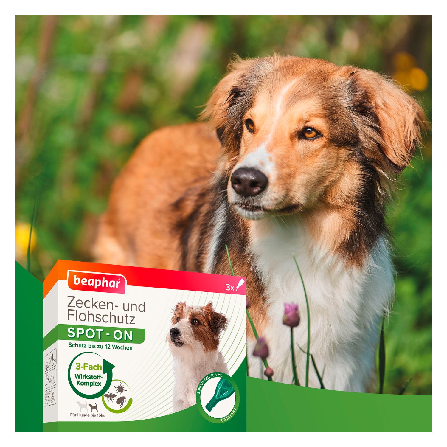 beaphar Zecken- und Flohschutz SPOT-ON – Ansicht 2
