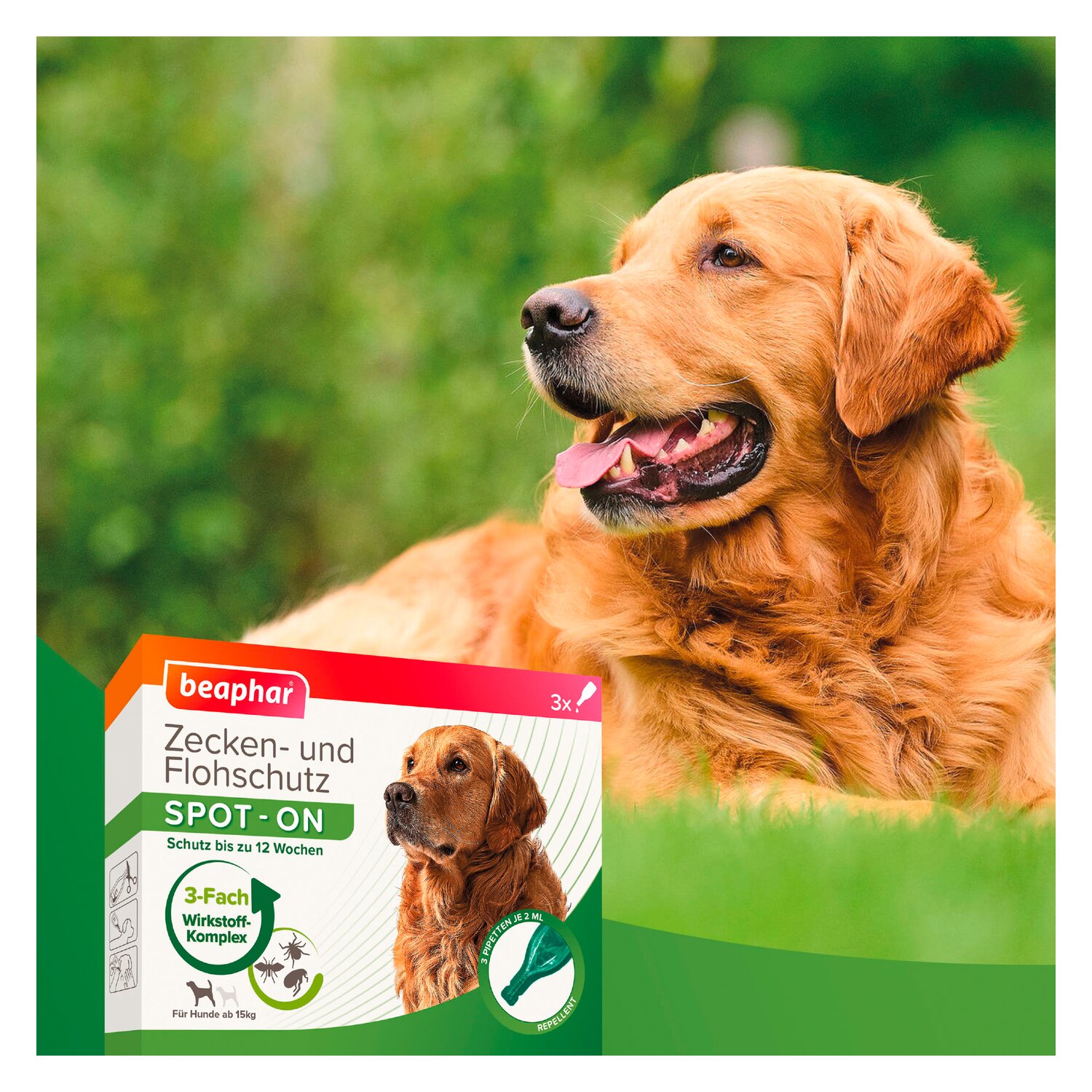 beaphar Zecken- und Flohschutz SPOT-ON – Ansicht 2