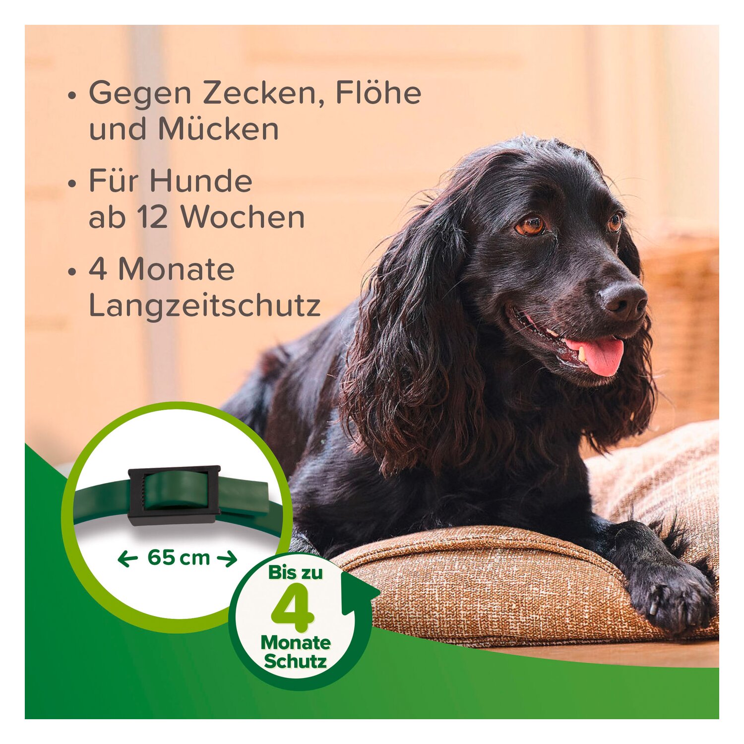 beaphar Floh- und Zeckenhalsband – Ansicht 4