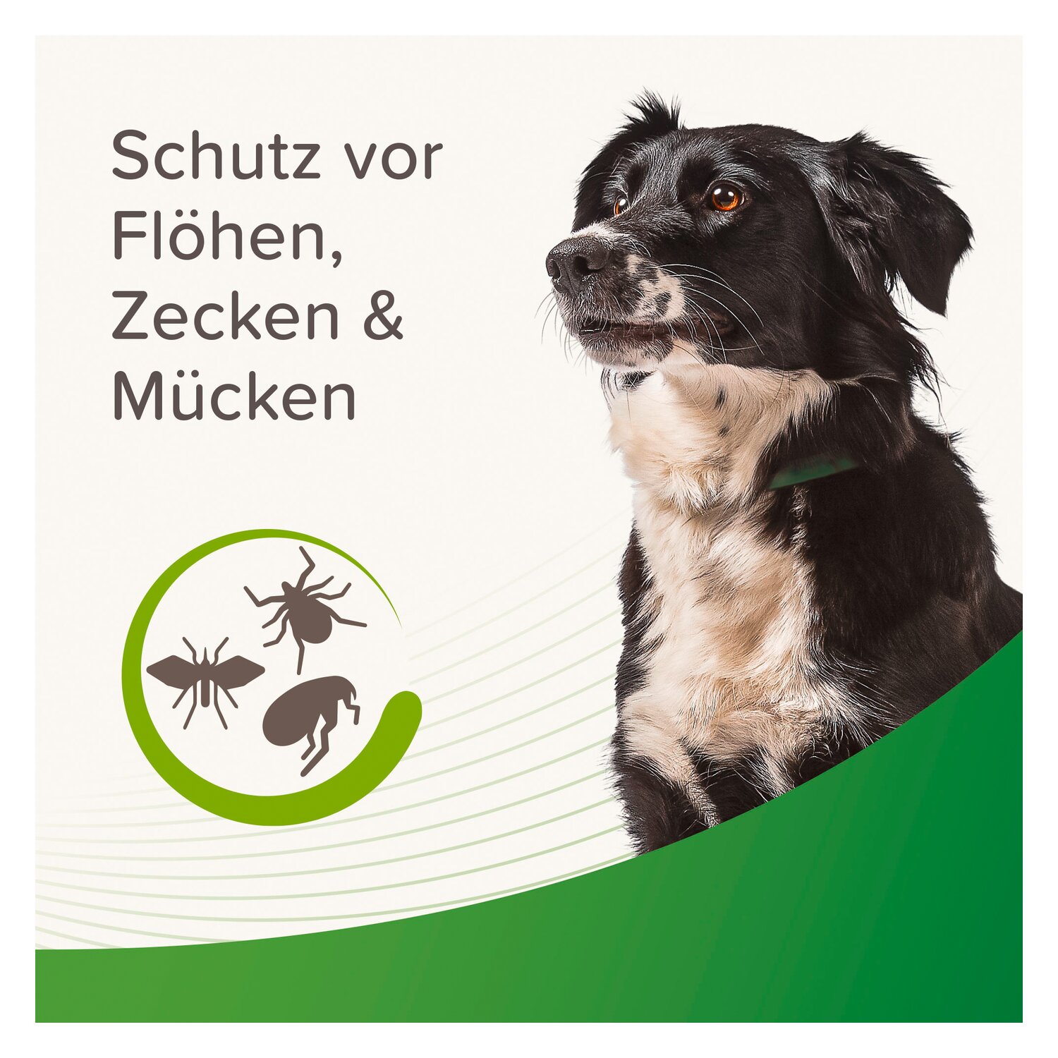 beaphar Floh- und Zeckenhalsband – Ansicht 2