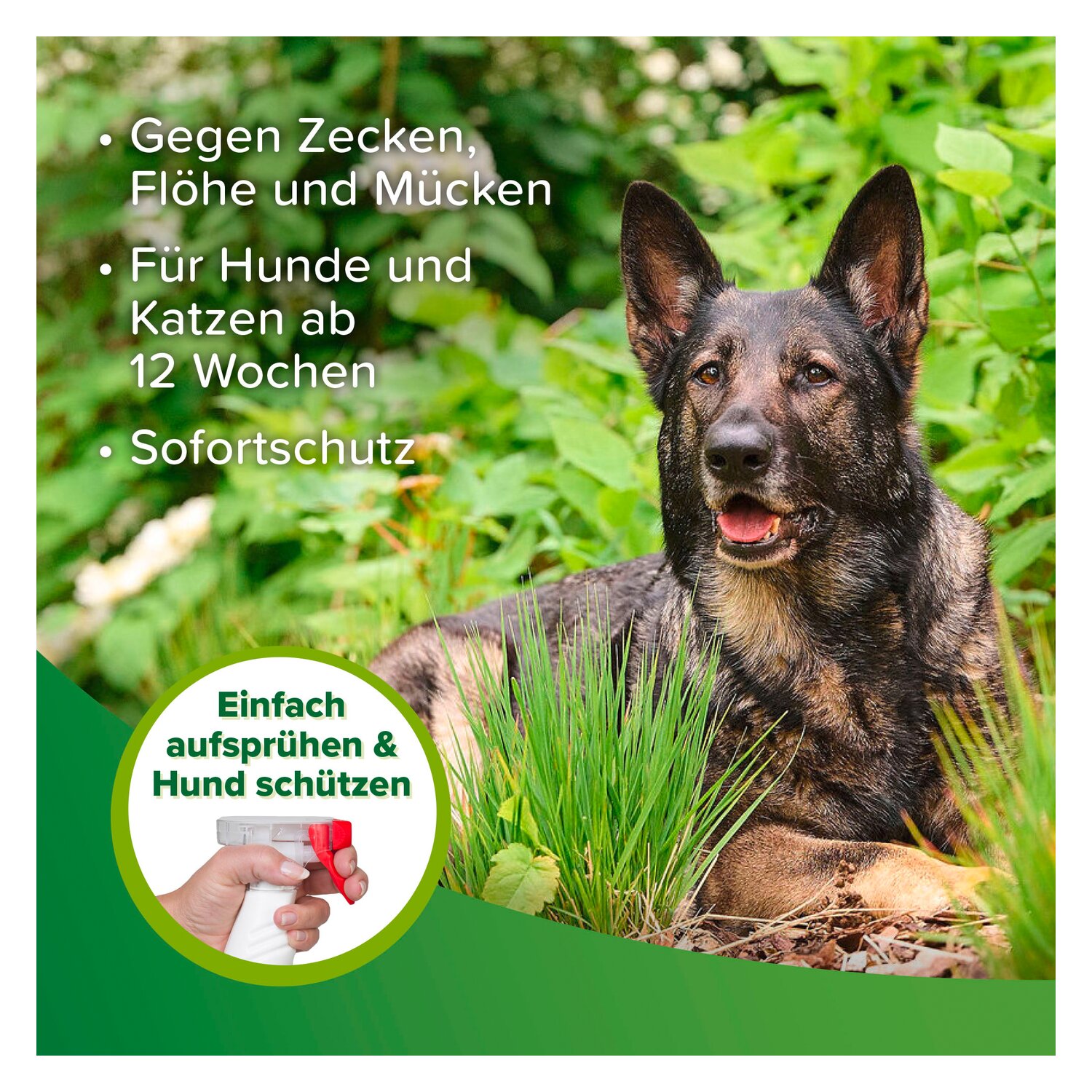 beaphar Zecken- und Flohschutz Spray – Ansicht 4