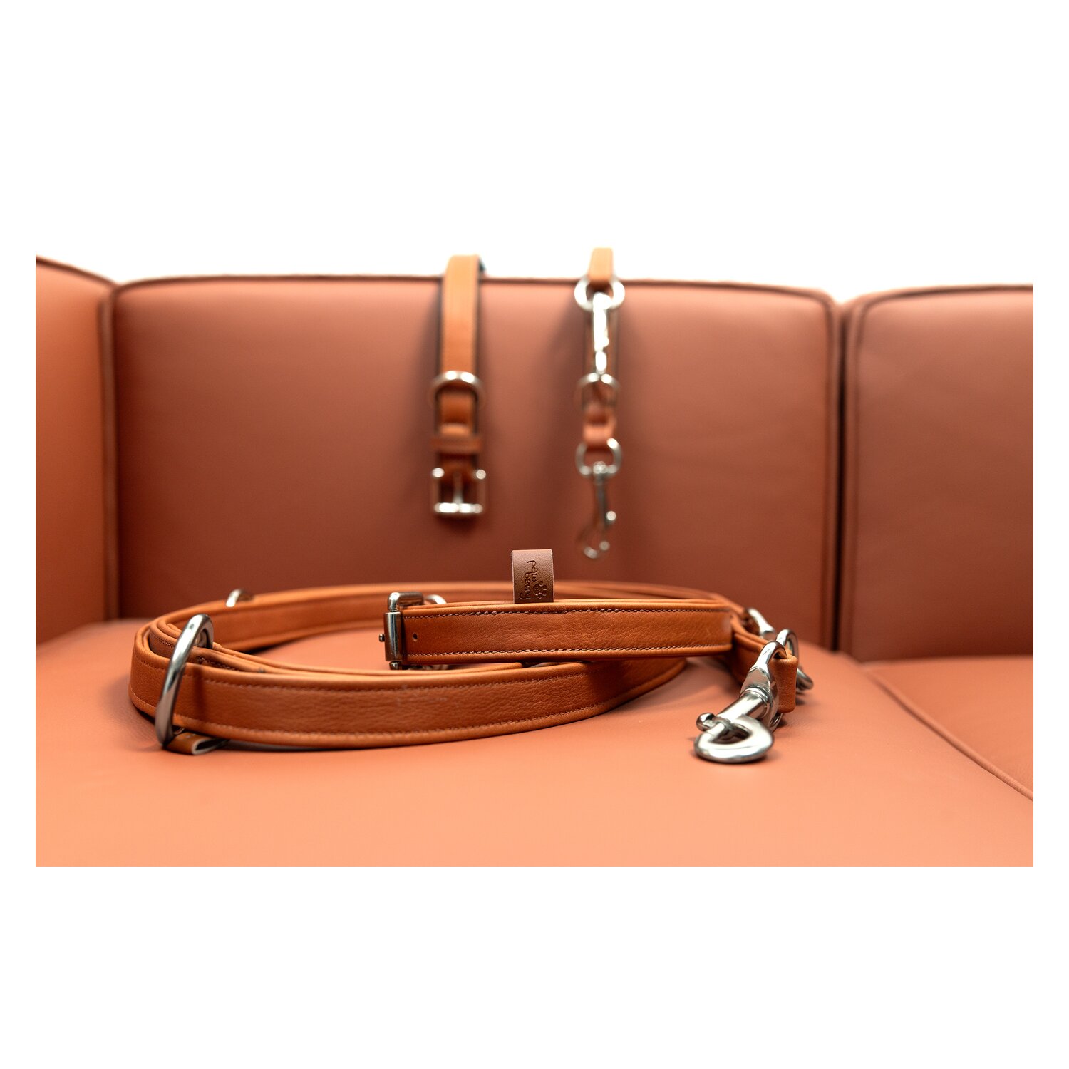 pawberry Hundeleine Melun – Ansicht 2