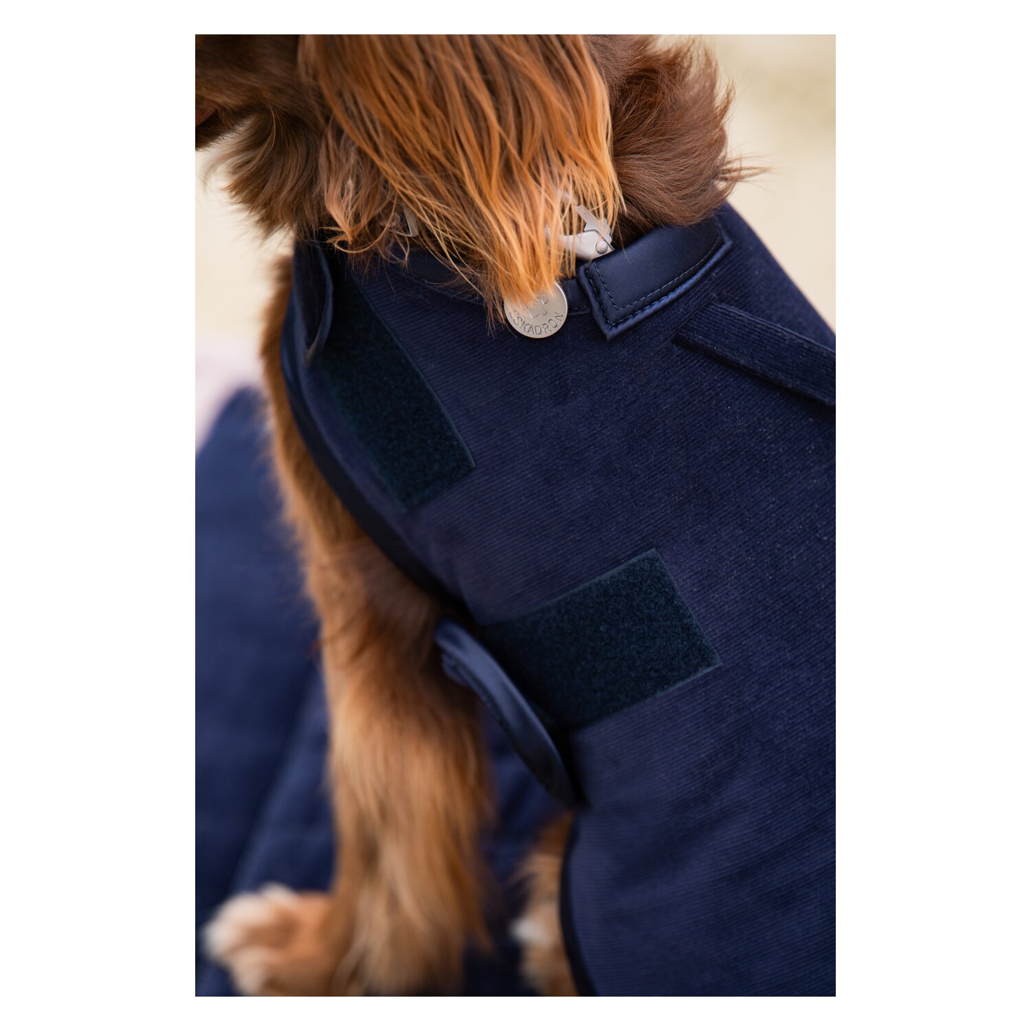 ESKADRON Classic Sports Hundemantel Cord – Ansicht 3