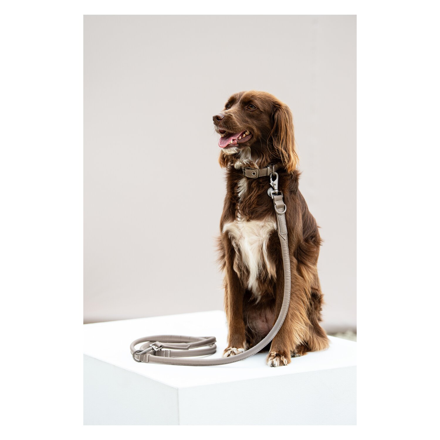 ESKADRON Classic Sports Hunde Set Leather – Ansicht 3