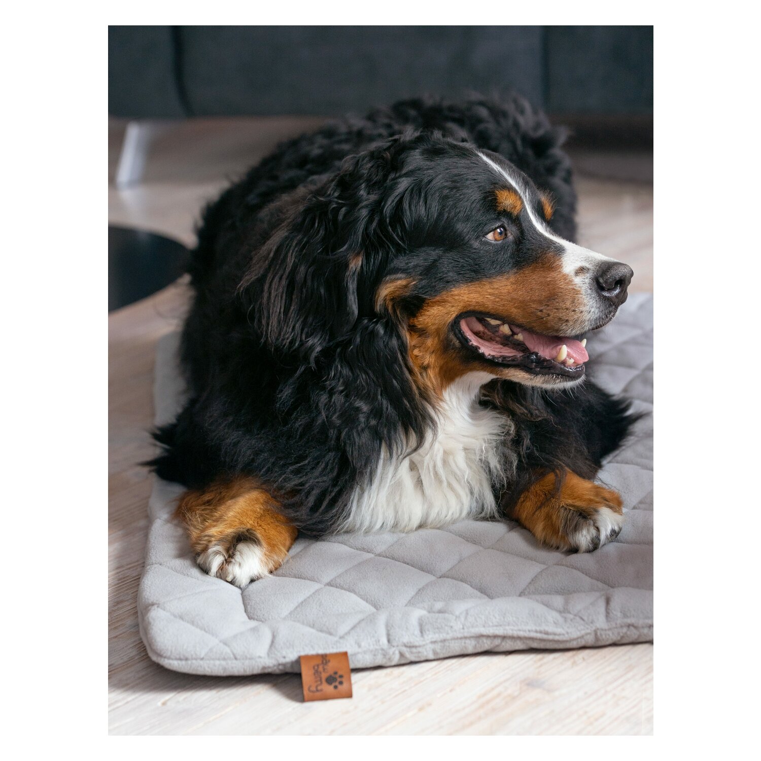 pawberry Hundeplatzdecke Fleece – Ansicht 4