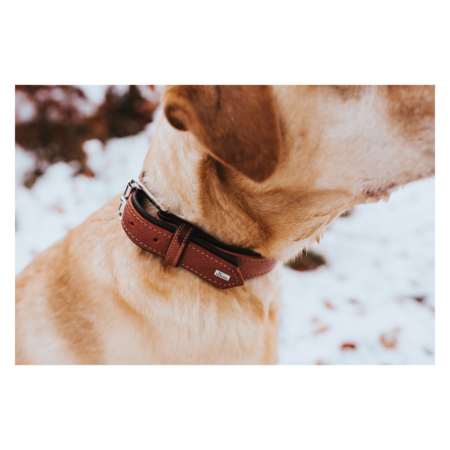 HUNTER Halsband Canadian Up – Ansicht 4