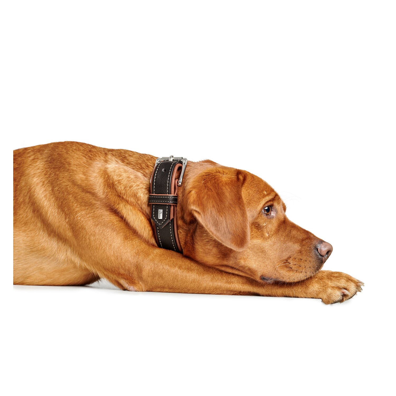 HUNTER Halsband Canadian Up – Ansicht 3