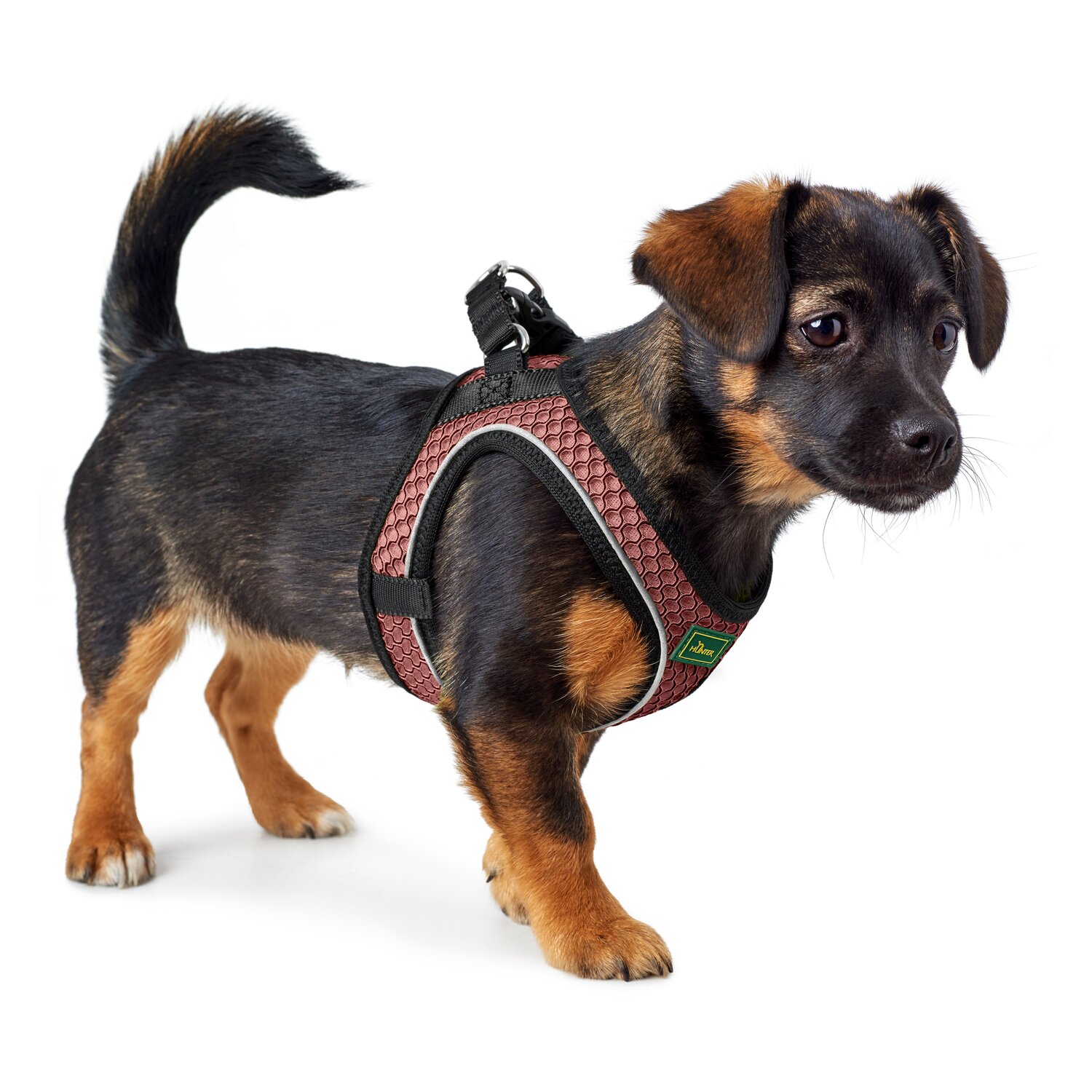 HUNTER Geschirr Hilo Comfort – Ansicht 4