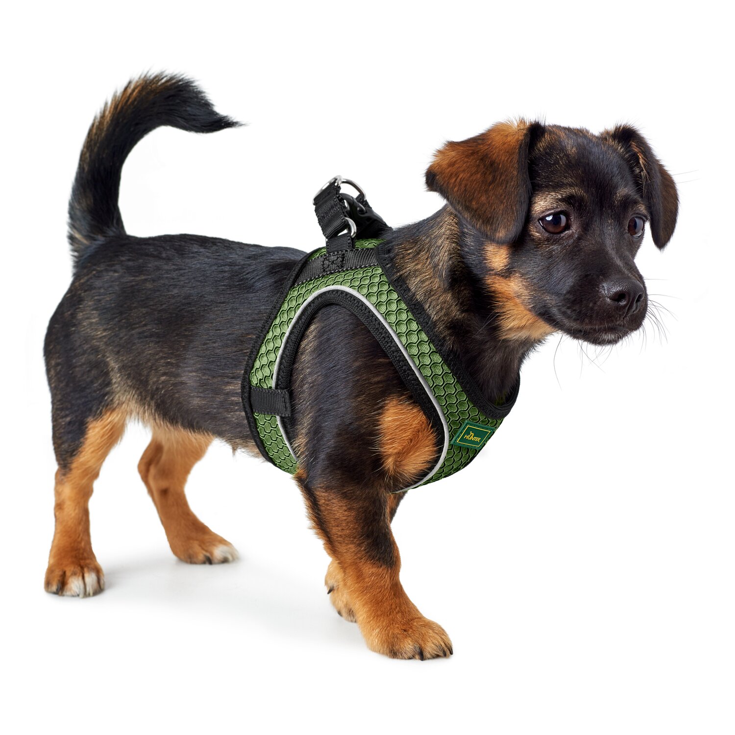 HUNTER Geschirr Hilo Comfort – Ansicht 4