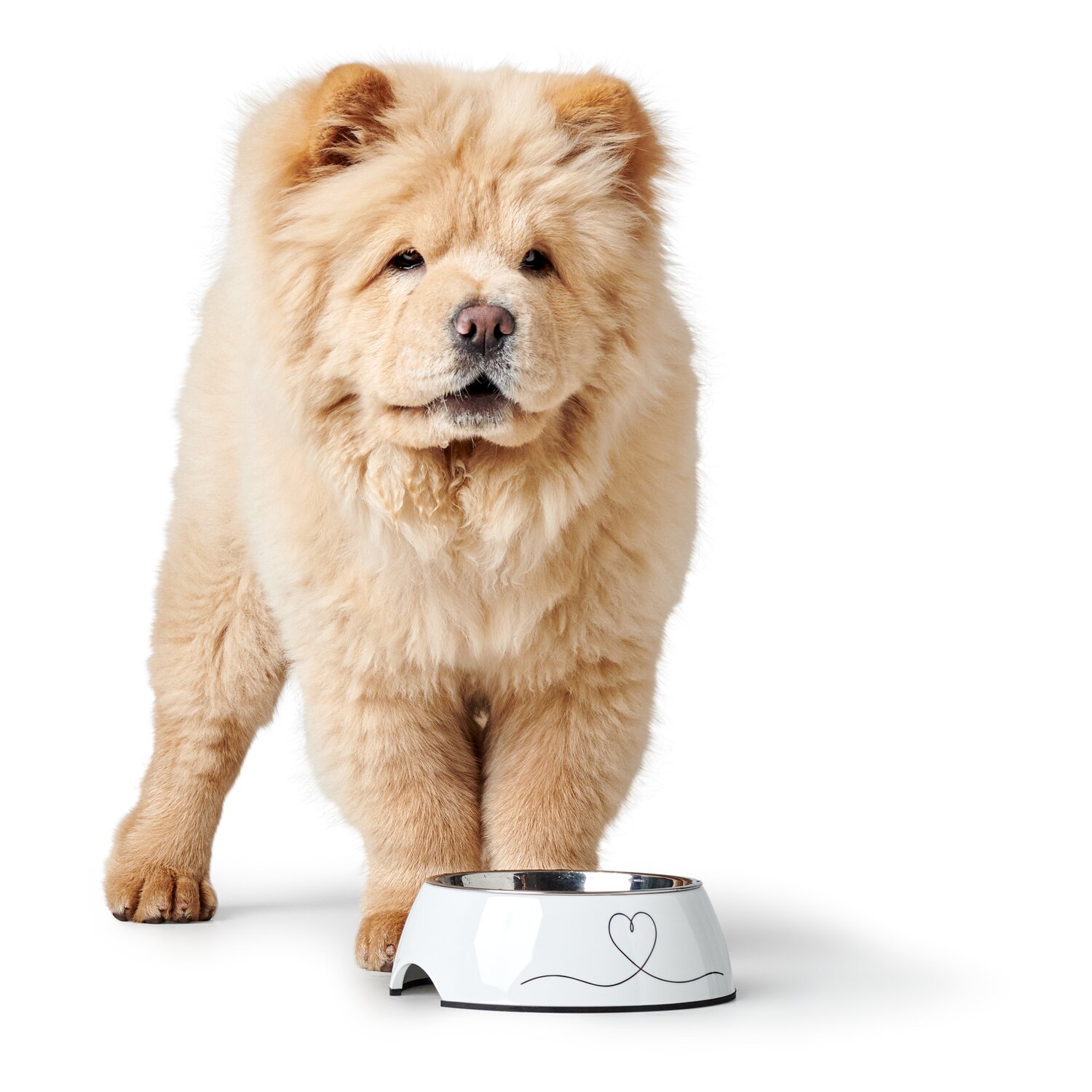 HUNTER Melamin-Napf Valencia – Ansicht 2