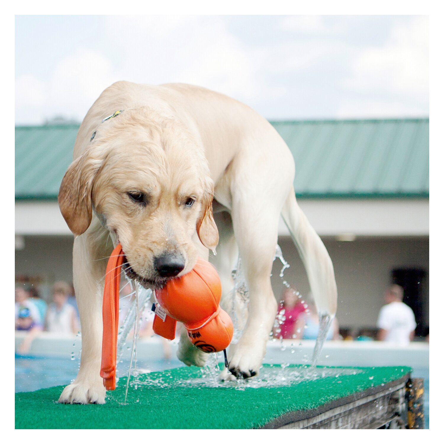 HUNTER KONG WET WUBBA – Ansicht 3