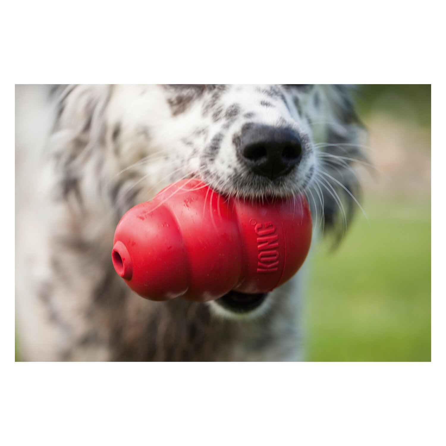 HUNTER KONG CLASSIC – Ansicht 3