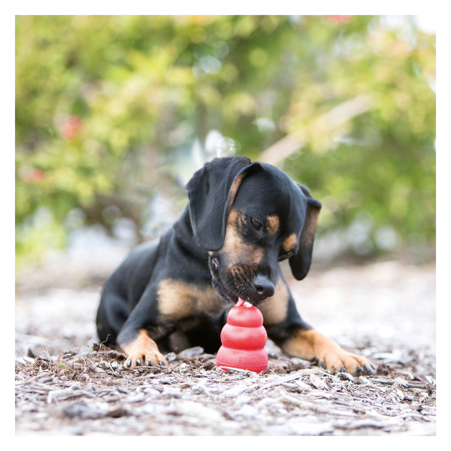 HUNTER KONG CLASSIC – Ansicht 4