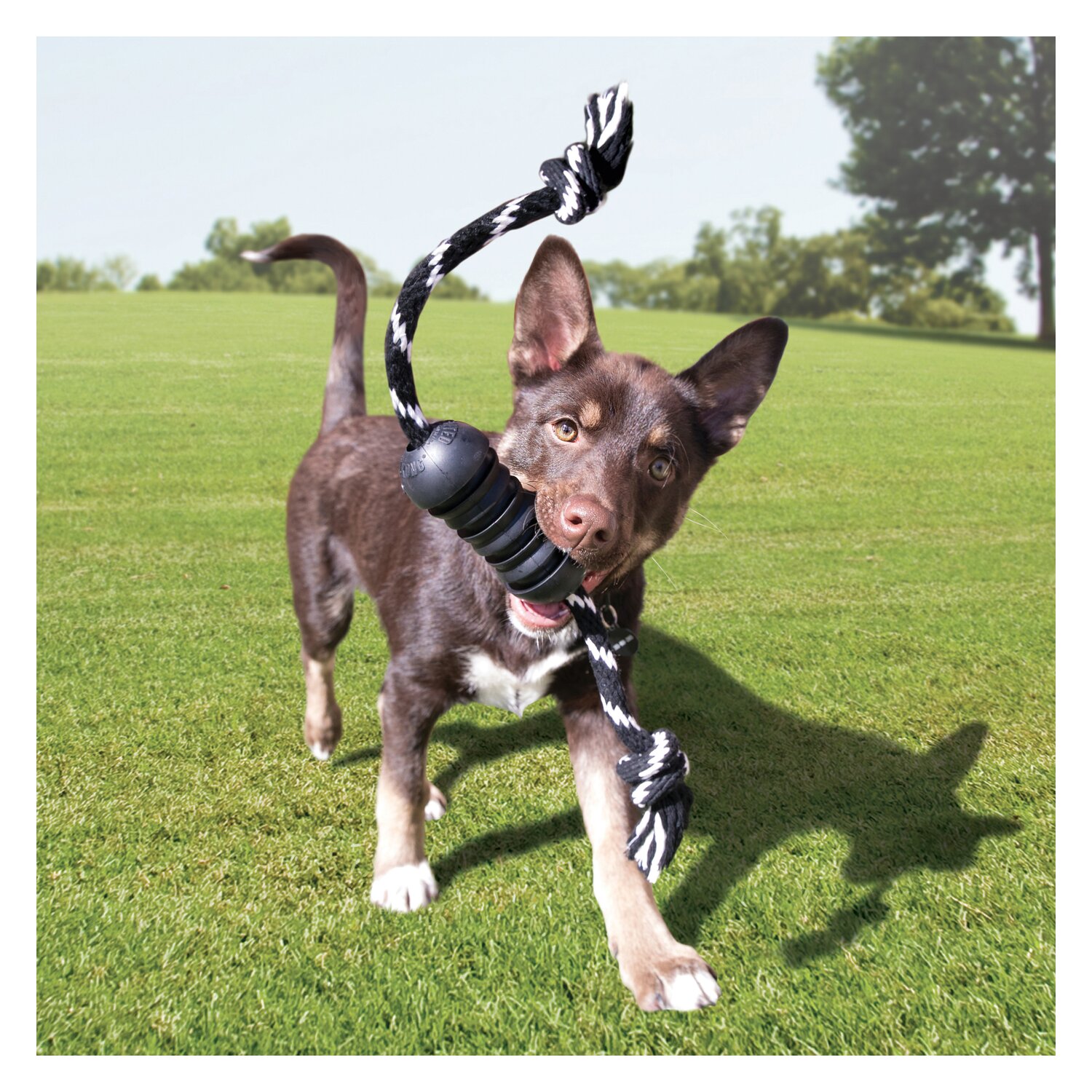 HUNTER KONG Extreme Dental mit Tau – Ansicht 2