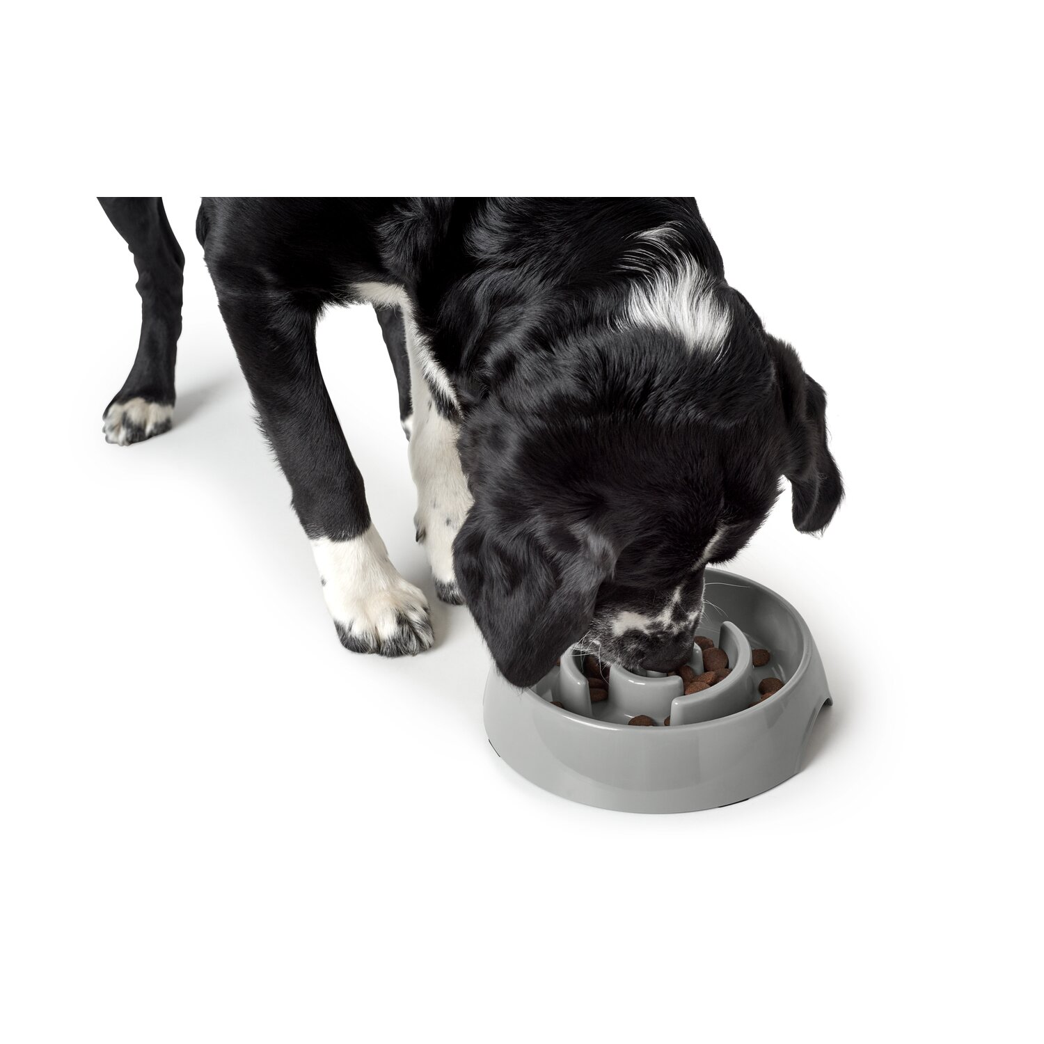 HUNTER Anti-Schlingnapf Atlanta – Ansicht 2