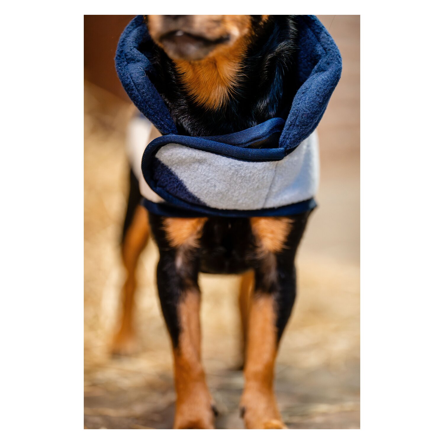 HORSEWARE Hundemantel Fleece – Ansicht 5