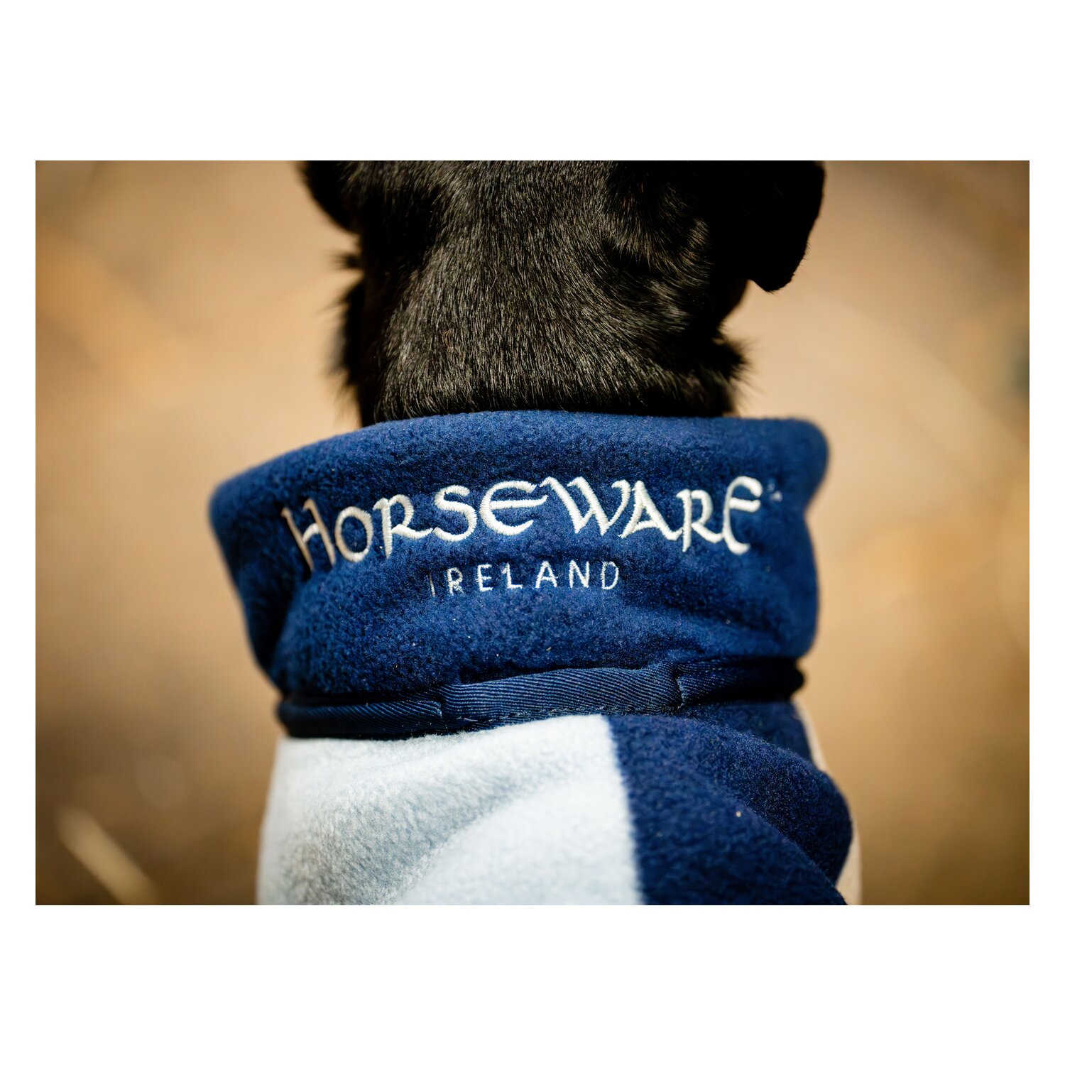 HORSEWARE Hundemantel Fleece – Ansicht 4