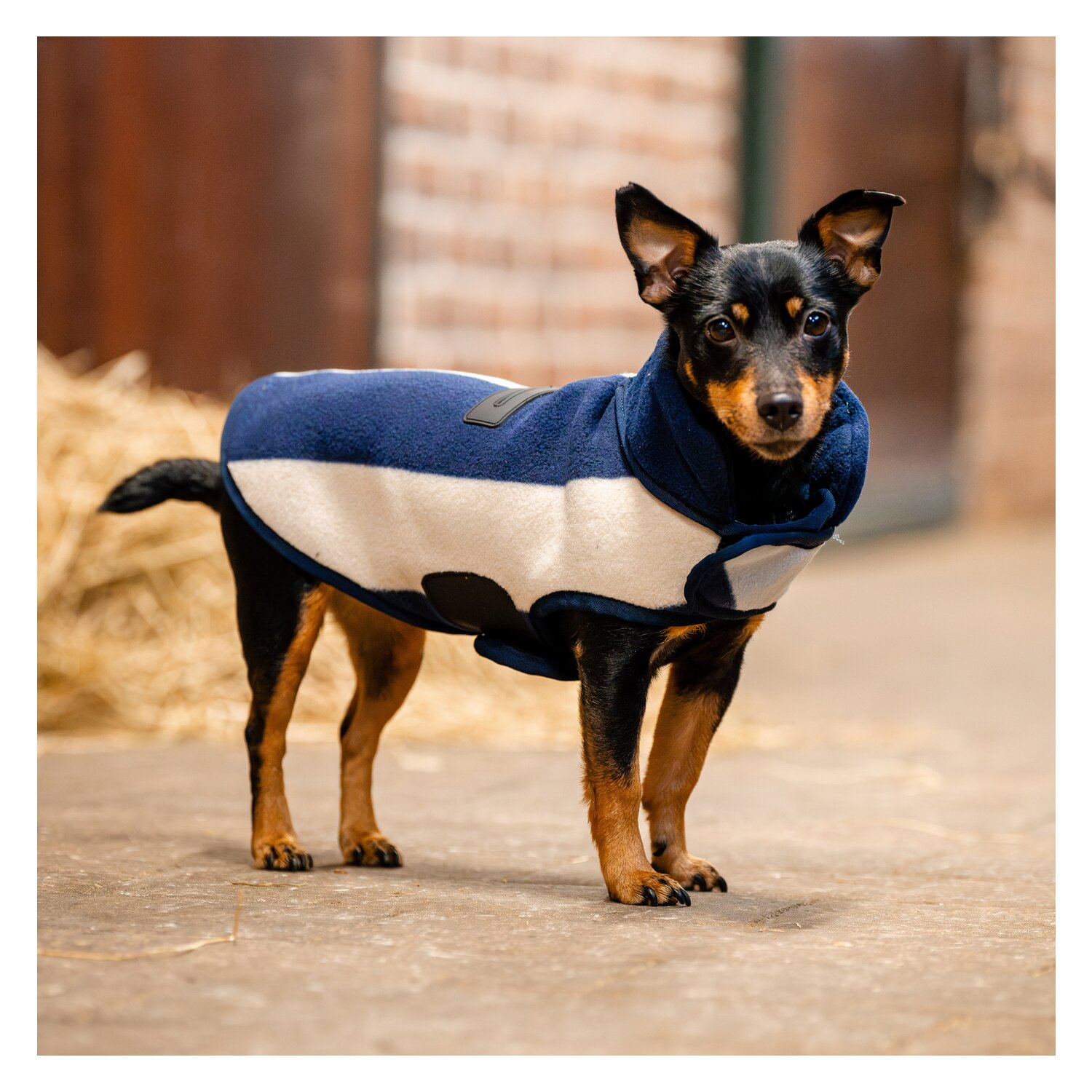 HORSEWARE Hundemantel Fleece – Ansicht 1