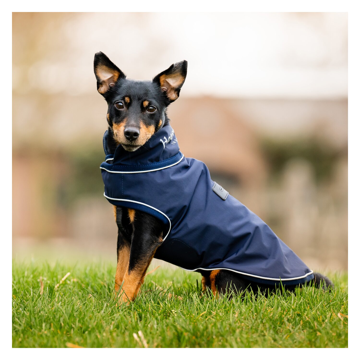 HORSEWARE Hunde-Regenmantel – Ansicht 3