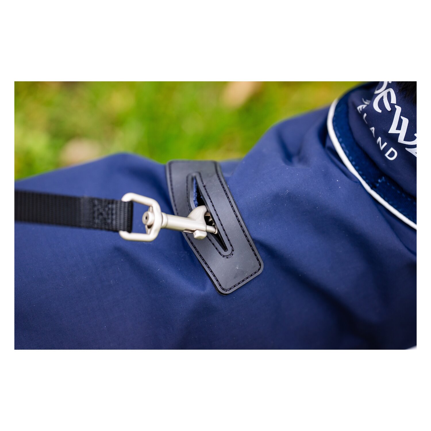HORSEWARE Hunde-Regenmantel – Ansicht 6