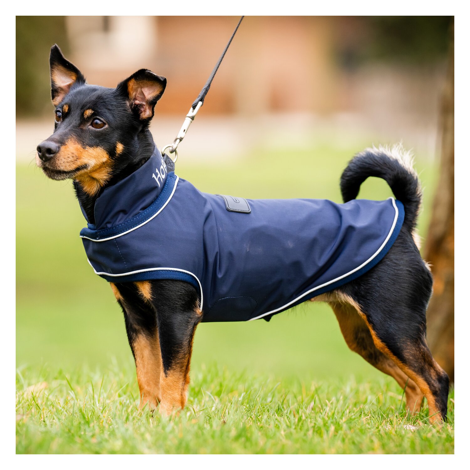 HORSEWARE Hunde-Regenmantel – Ansicht 1