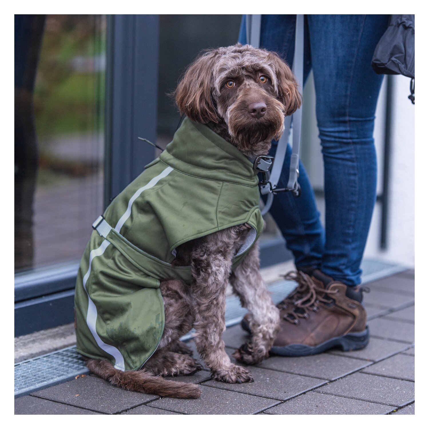 pawberry Softshell-Hundemantel Reus – Ansicht 5