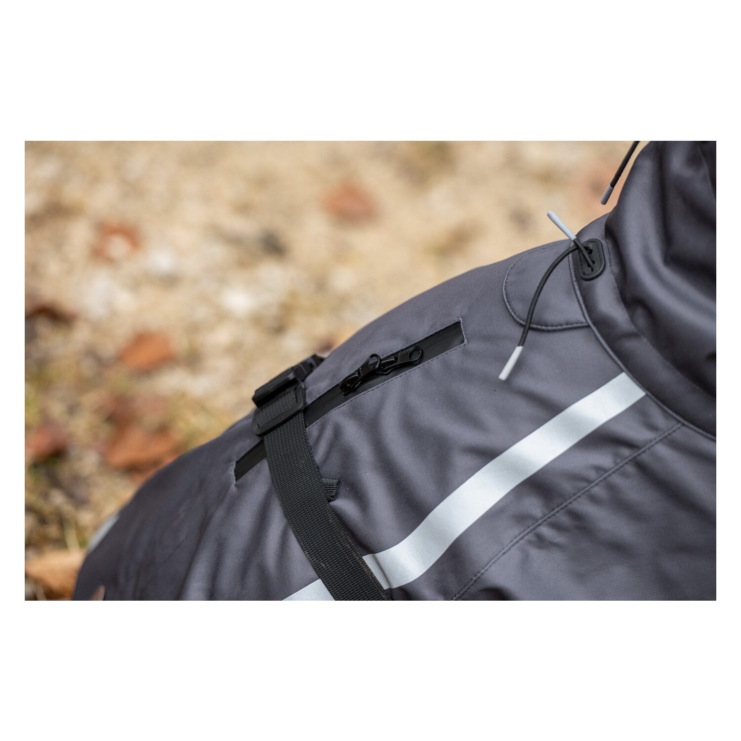 pawberry Softshell-Hundemantel Reus – Ansicht 5