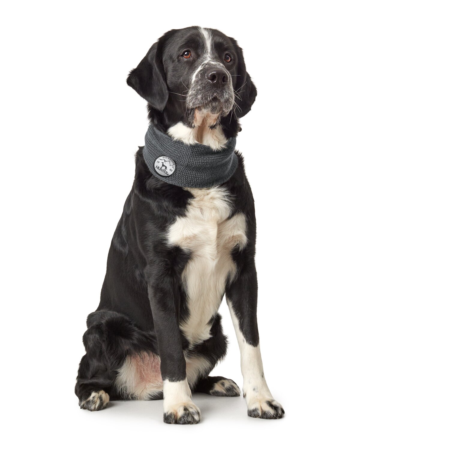 HUNTER Hundeschal Malmö – Ansicht 2