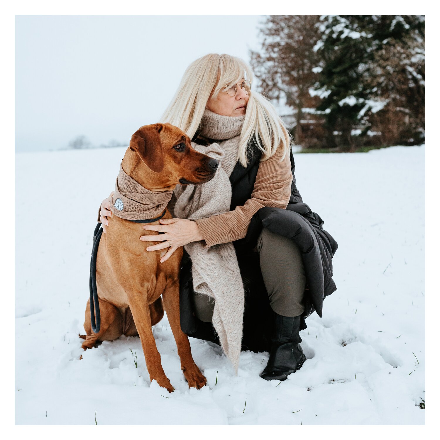 HUNTER Hundeschal Malmö – Ansicht 2