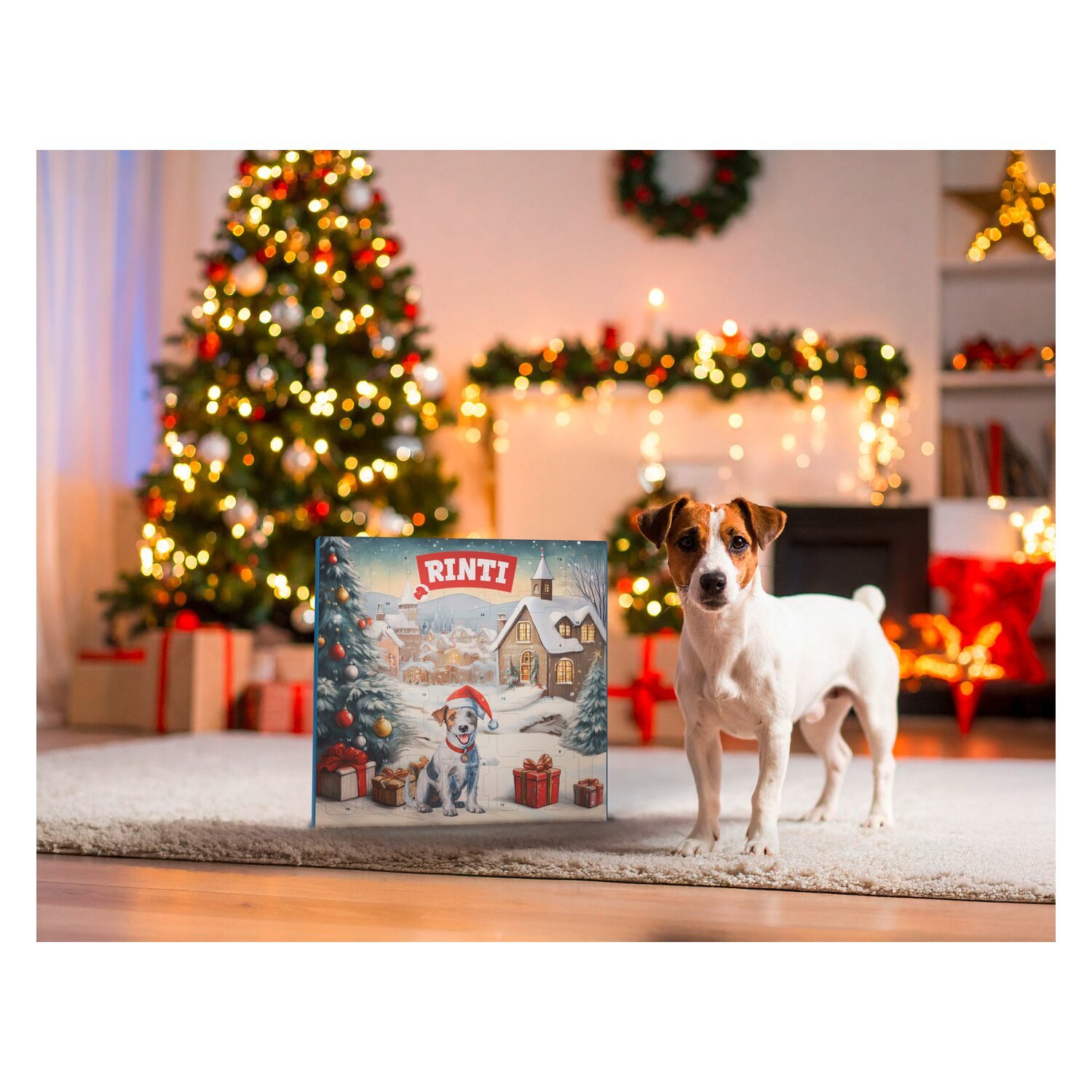 RINTI Adventskalender für Hunde – Ansicht 2