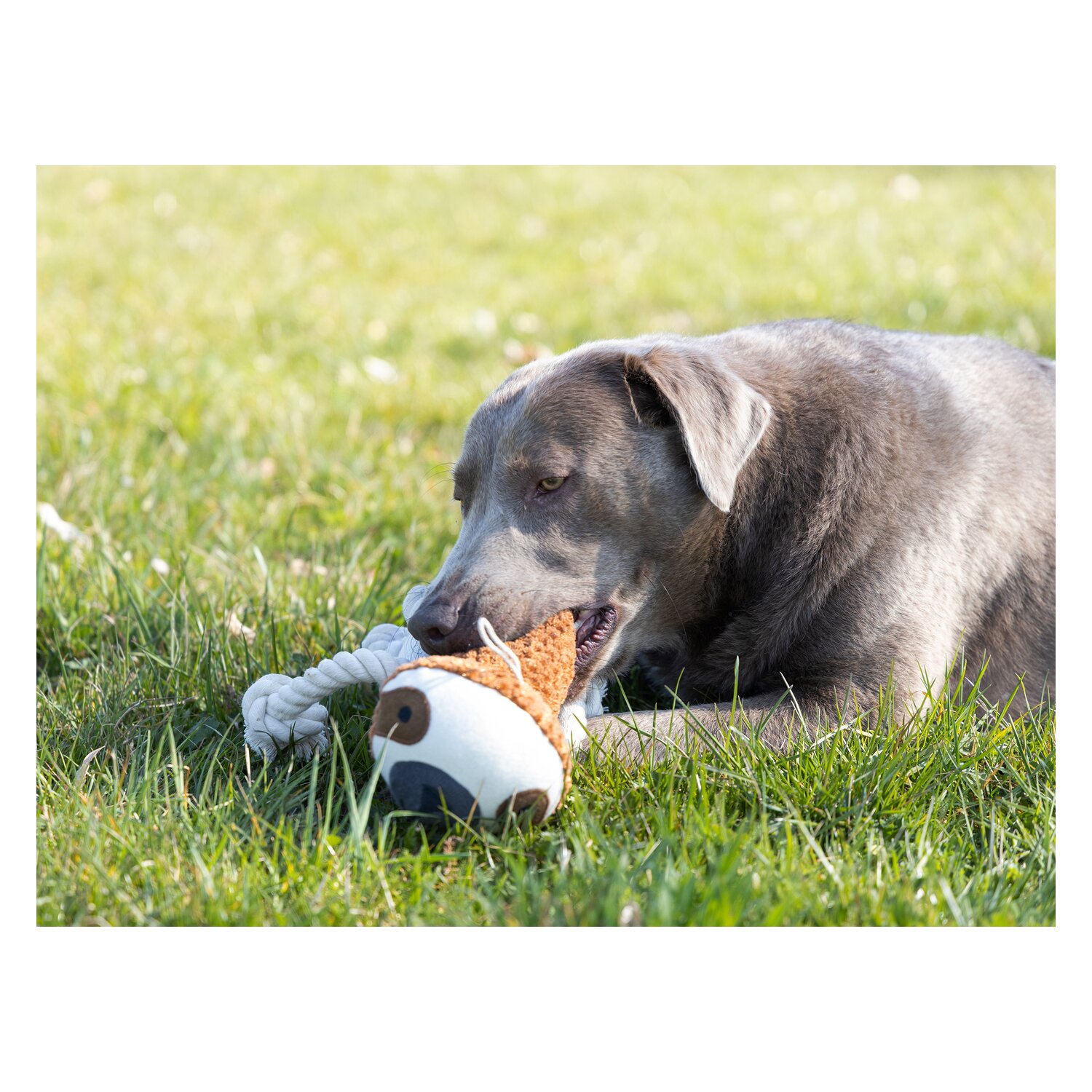 pawberry Hundespielzeug Faultier &ndash; Ansicht 4
