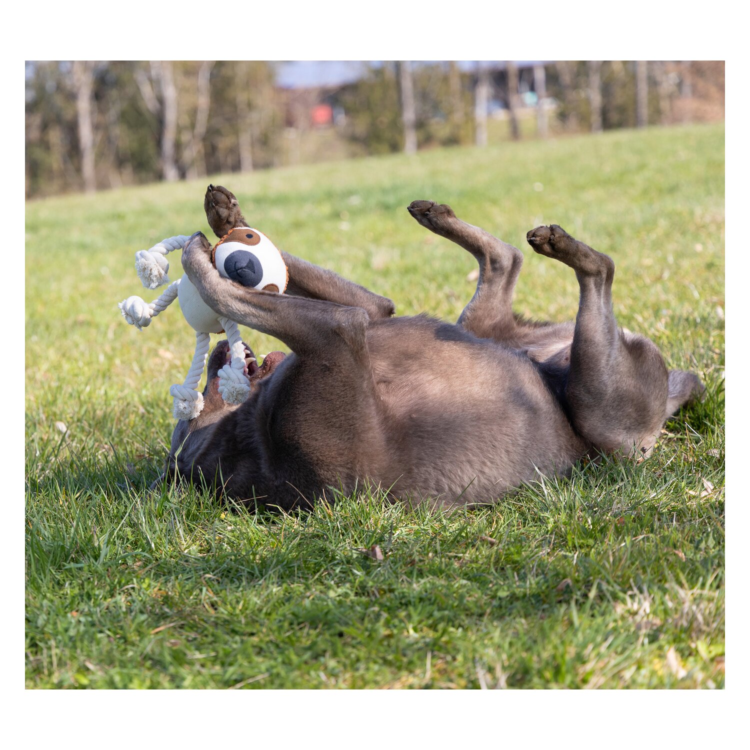 pawberry Hundespielzeug Faultier &ndash; Ansicht 5
