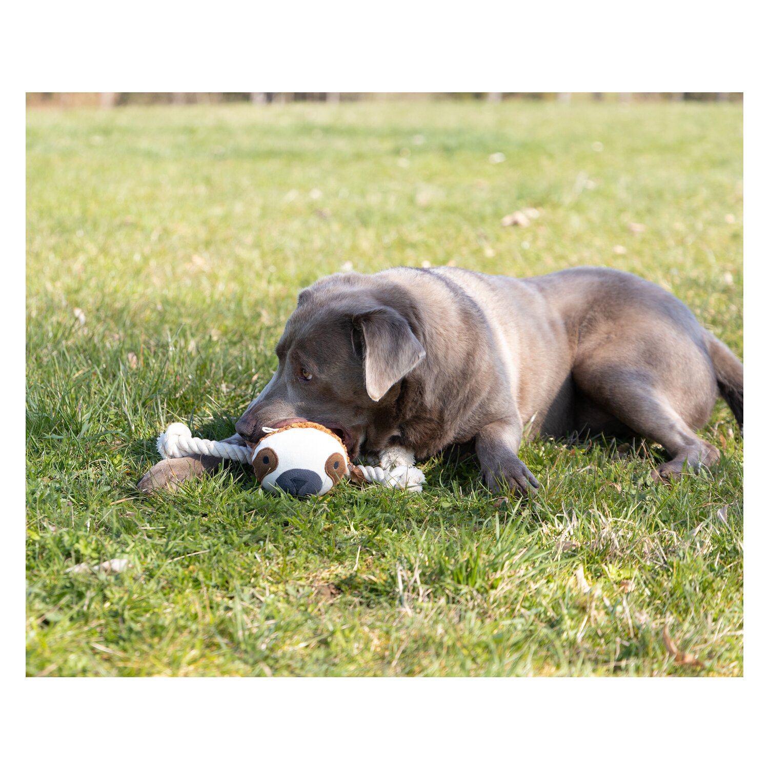 pawberry Hundespielzeug Faultier &ndash; Ansicht 6