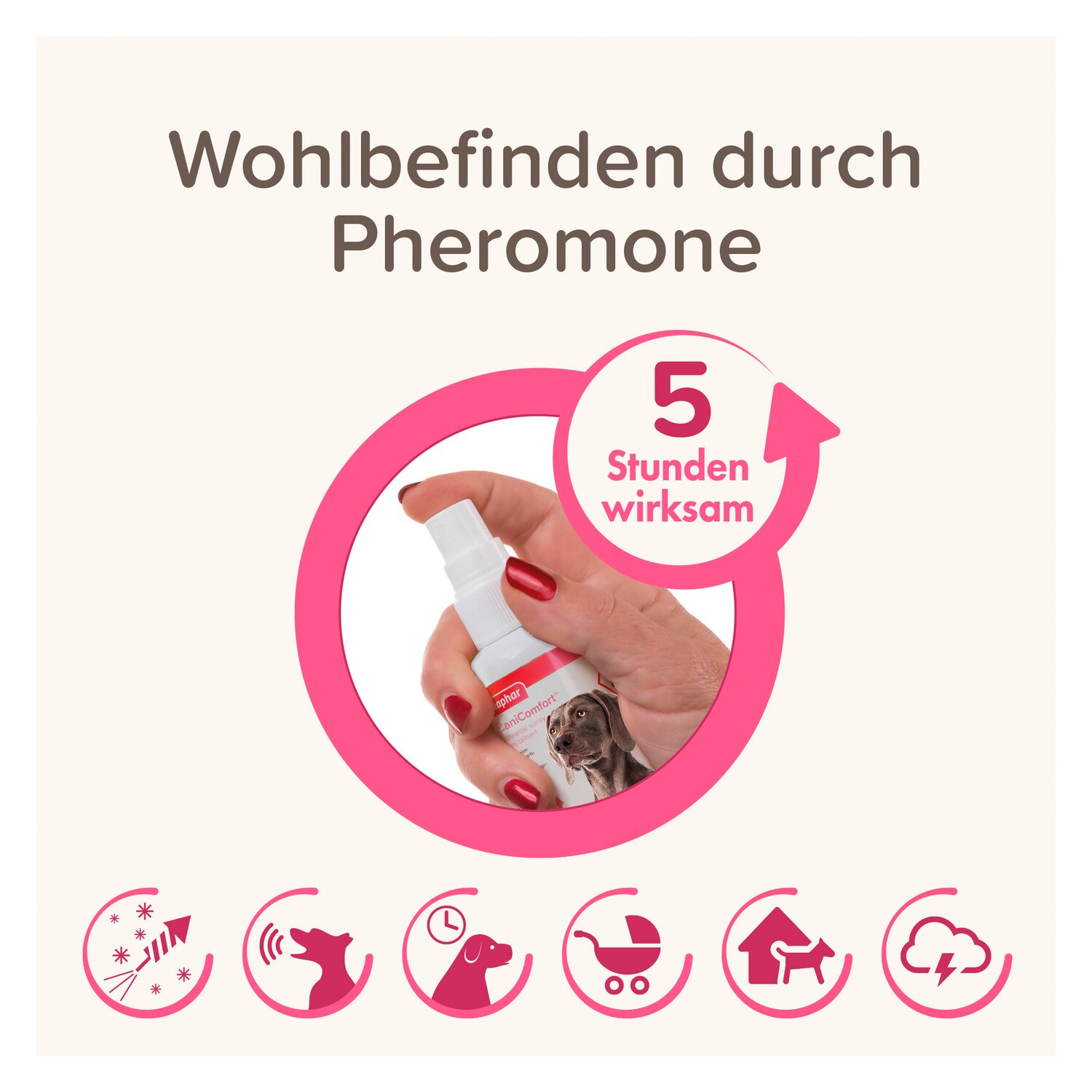 beaphar CaniComfort Wohlfühl-Spray – Ansicht 4